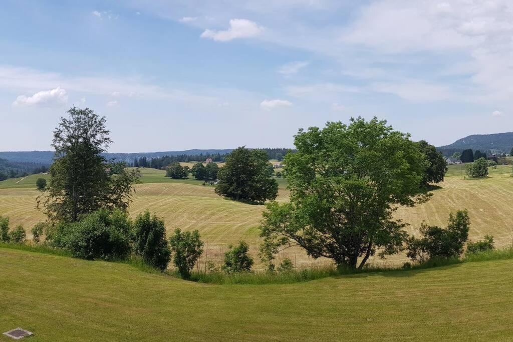 Appartement Les Rousses, Jura Экстерьер фото