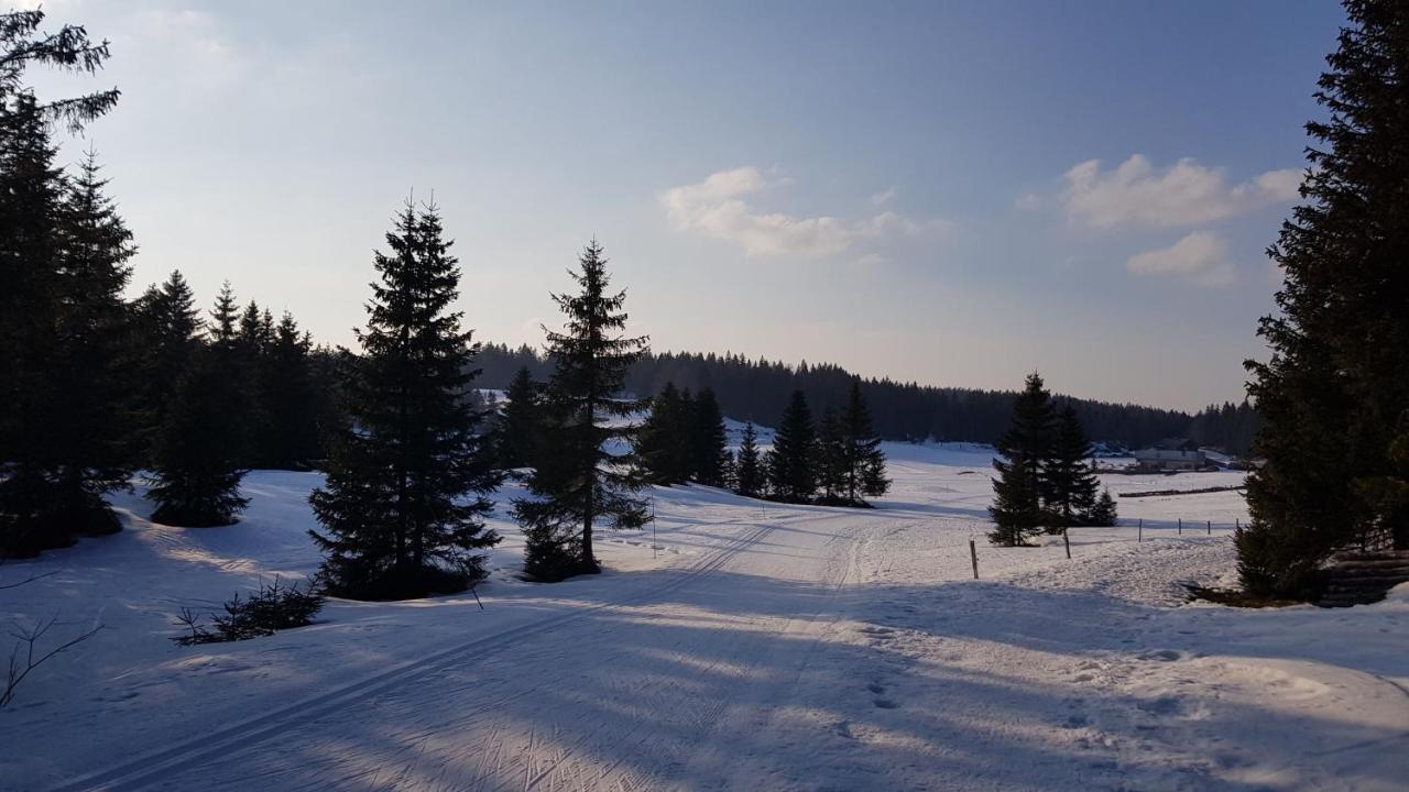Appartement Les Rousses, Jura Экстерьер фото